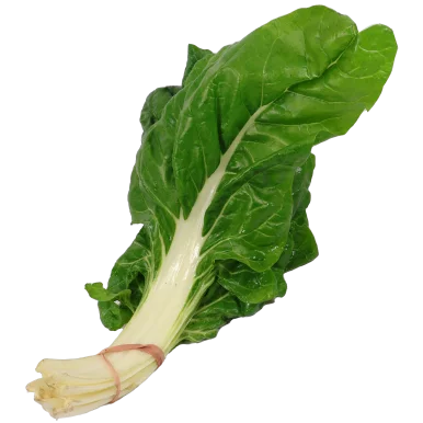 Blettes (certifié AB)