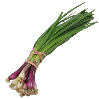 Oignons frais (certifié AB)