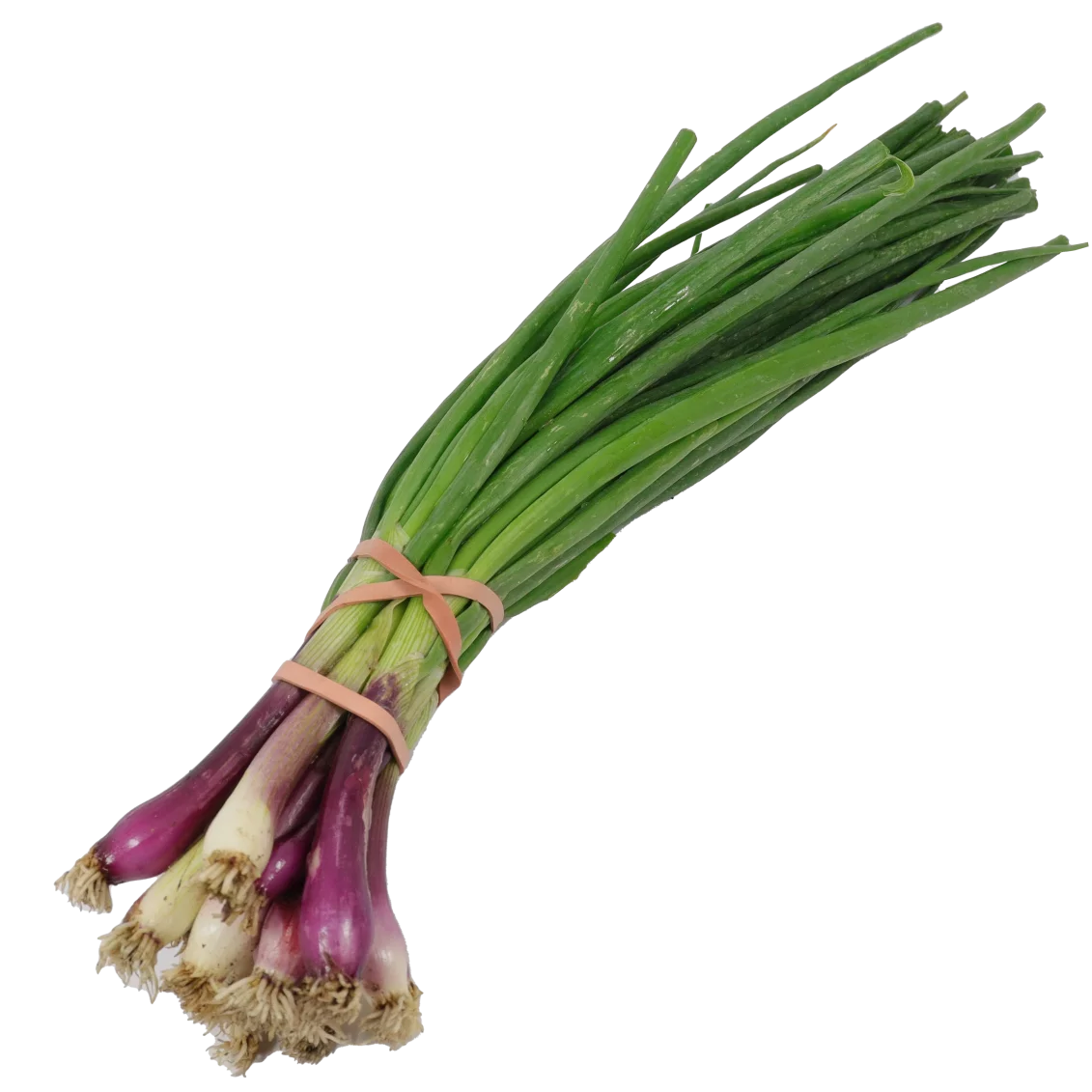 Oignons frais (certifié AB)