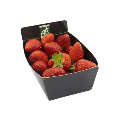 Fraises (certifié AB) | Fruits Frais local - Un goût d'ici