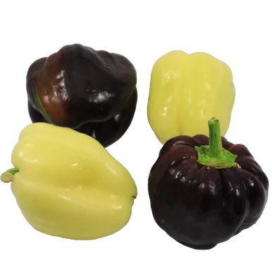 Poivron noir et poivron blanc | Légumes Frais local - Un goût d'ici