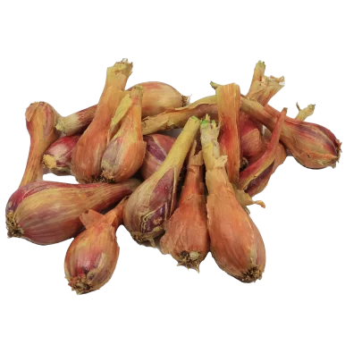 Echalotes fraiches | Légumes Frais local - Un goût d'ici