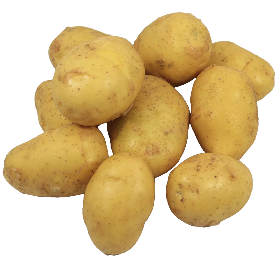 Pommes de terre agata primeur | Légumes Frais local - Un goût d'ici