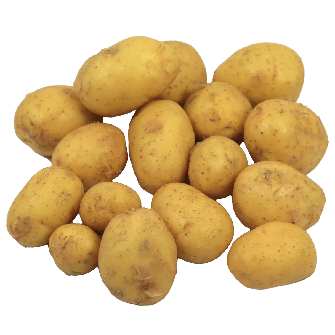 Pommes de terre agata primeur| Légumes Frais local - Un goût d'ici