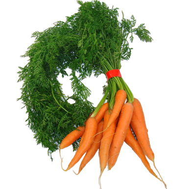 Carottes fanes | Légumes Frais local - Un goût d'ici