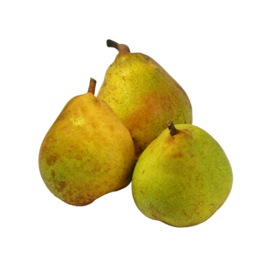 Grosses Poires Comice