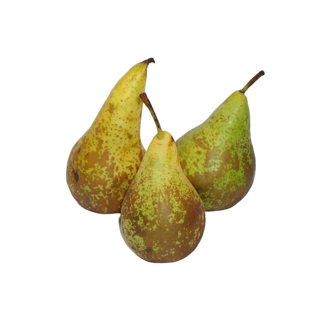 Poires Conférence
