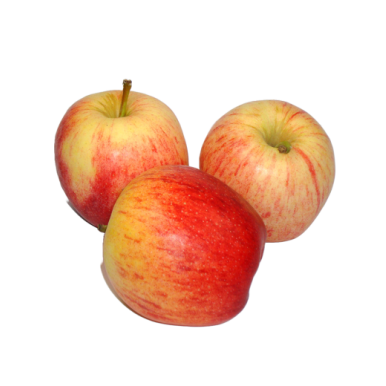 Pommes Gala