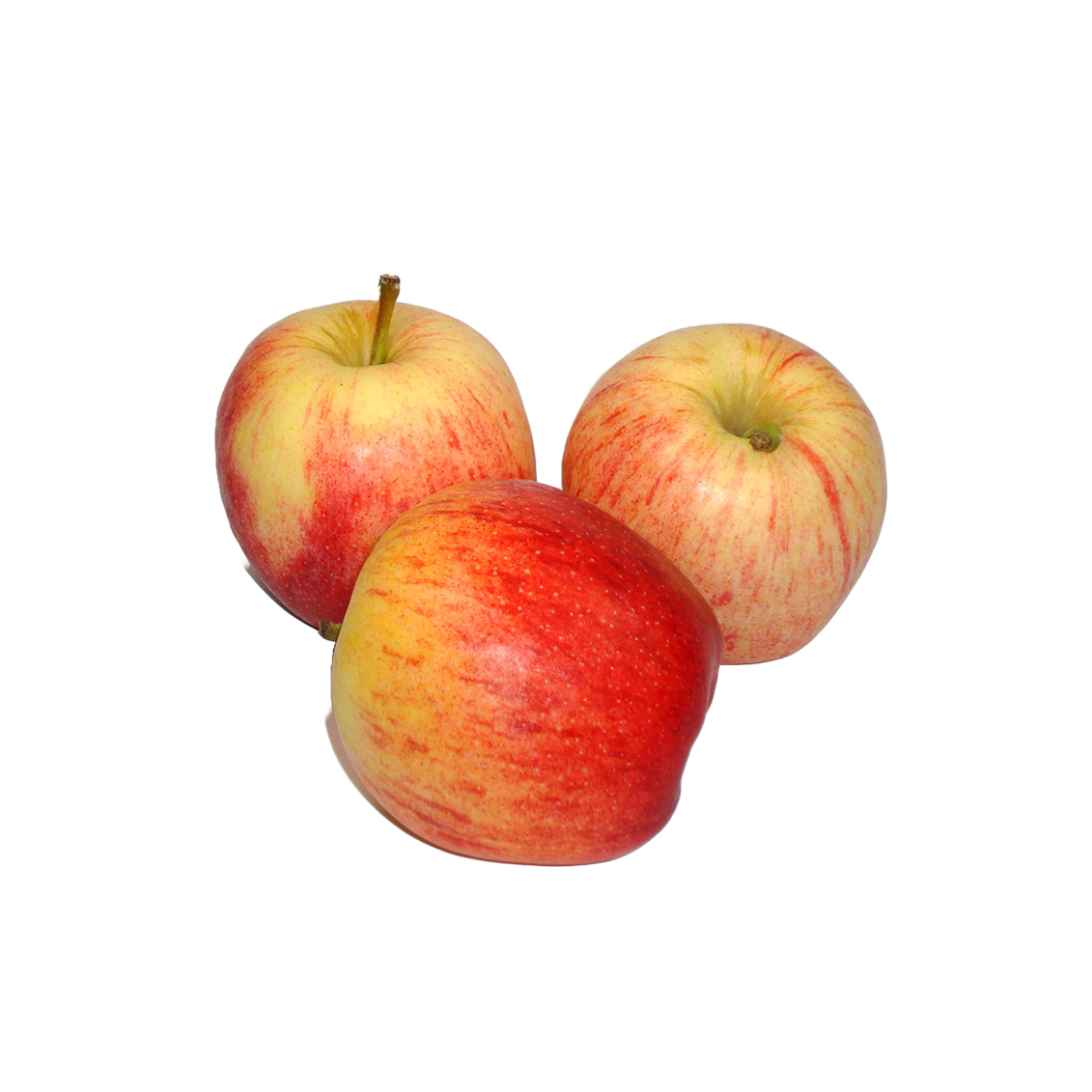 Pommes Gala