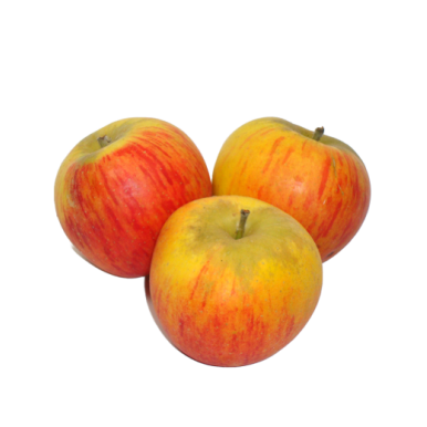 Pommes Reine de Reinettes