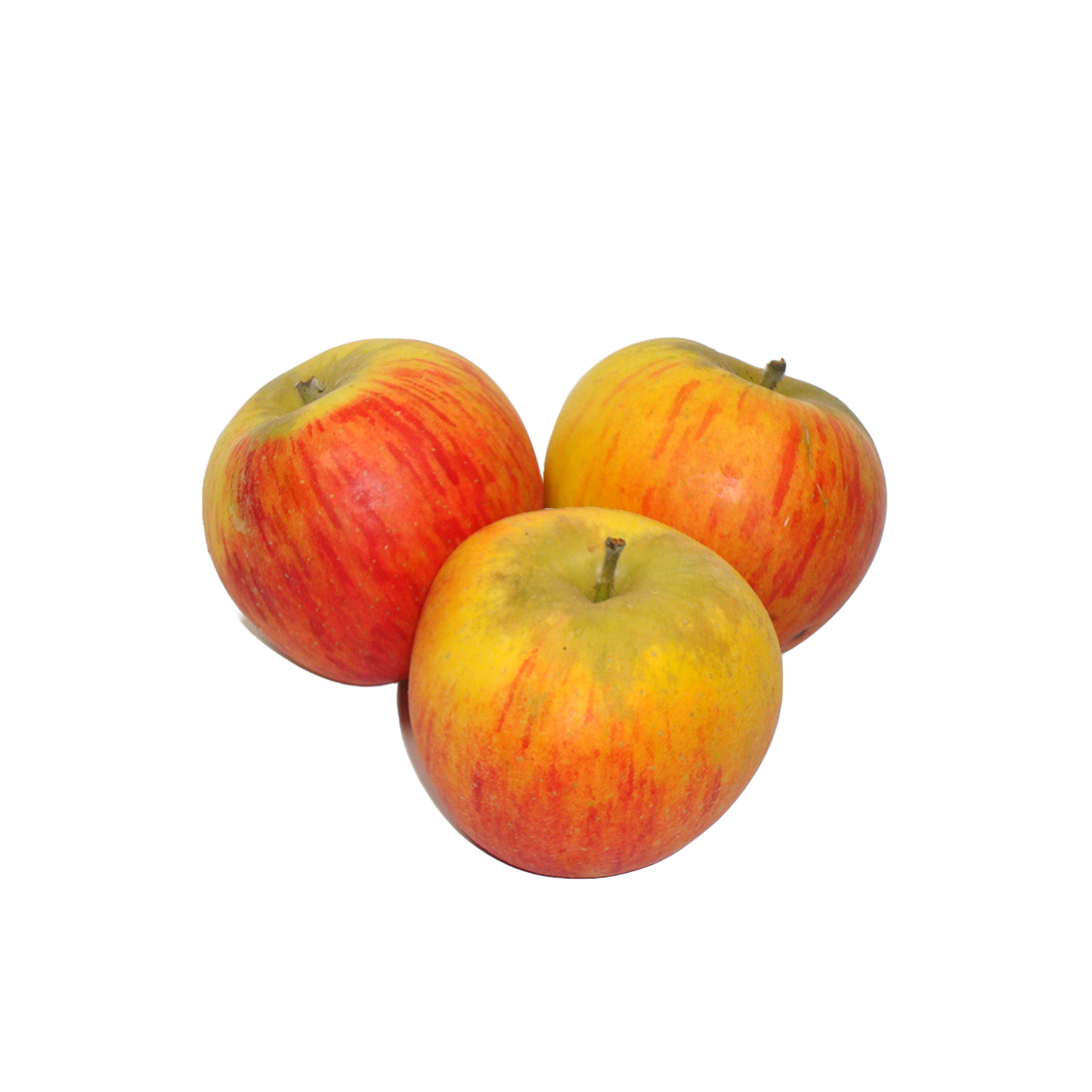 Pommes Reine de Reinettes