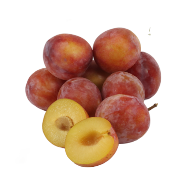 Prunes Octobre sun