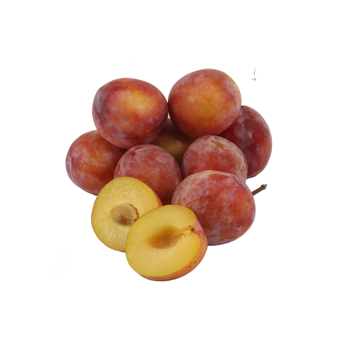 Prunes Octobre sun