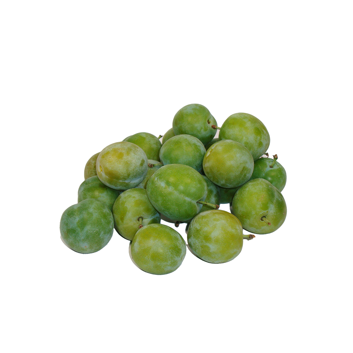 Prunes Bavay