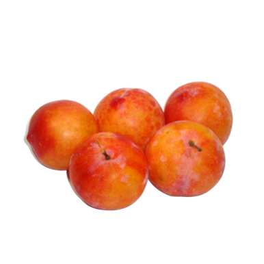 Prunes TC Sun