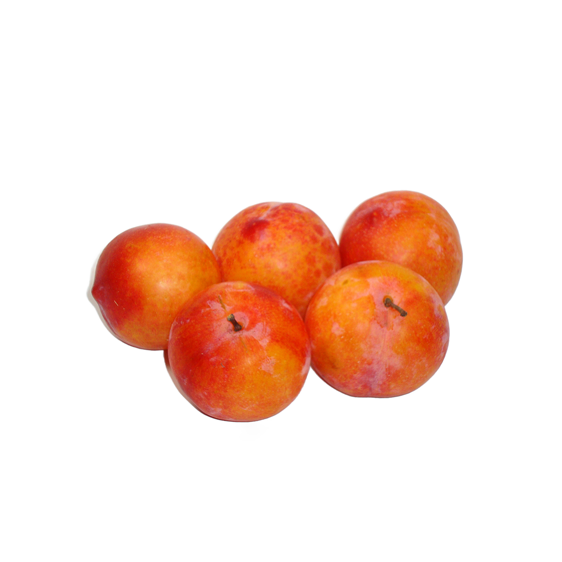 Prunes TC Sun
