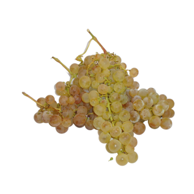 Raisin Chasselas