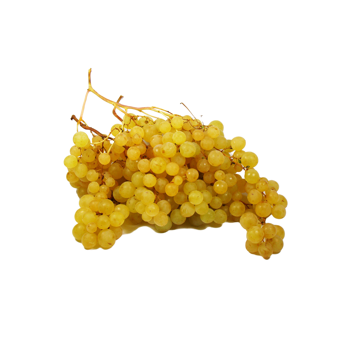 Raisin Exalta | Fruits Frais local - Un goût d'ici