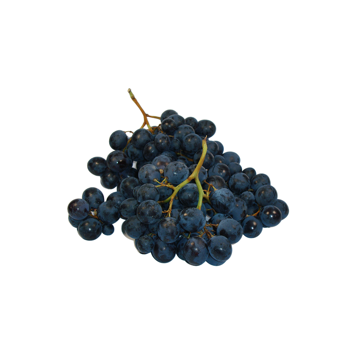 Raisin Muscat