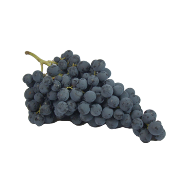 Raisin Ribol