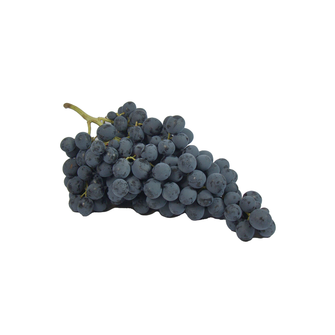 Raisin Ribol