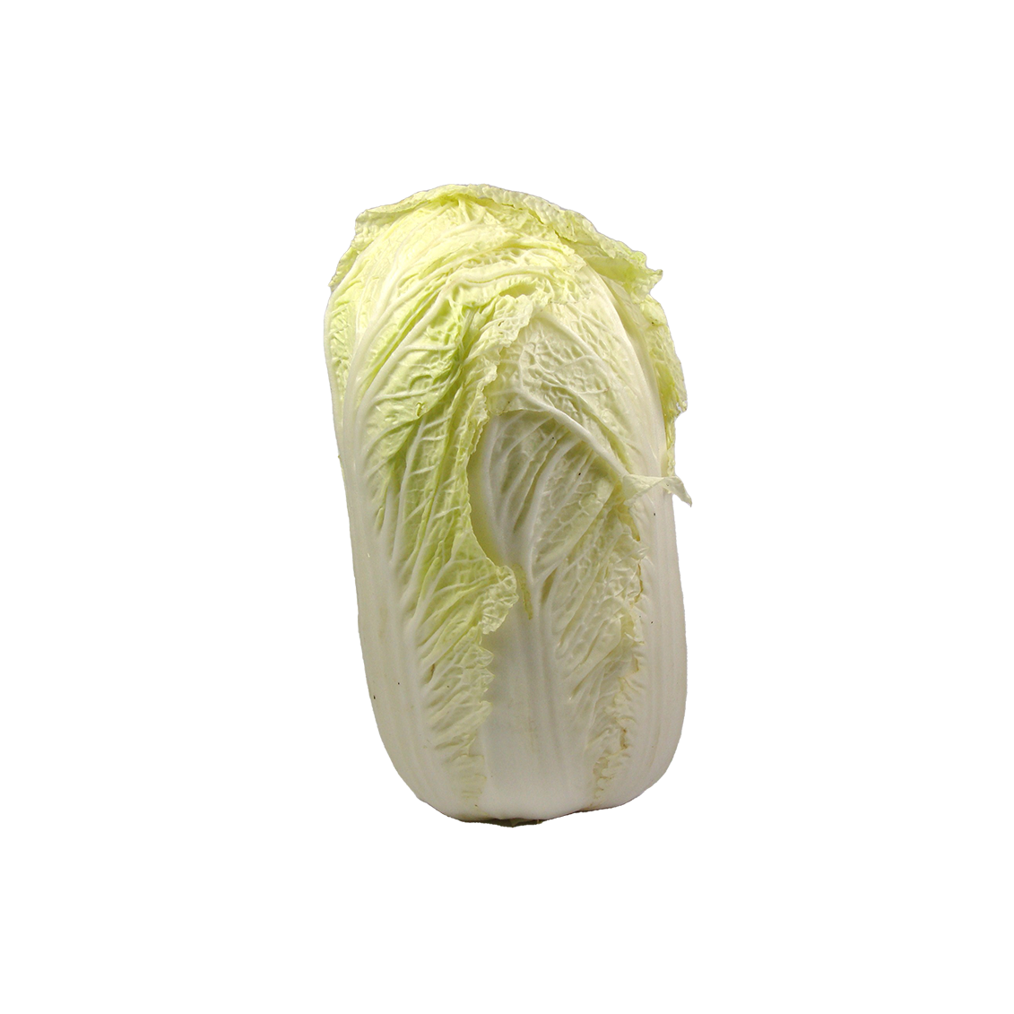 Choux chinois - Un Gout d'ici