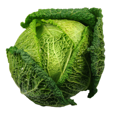 Chou vert - Un Gout d'ici