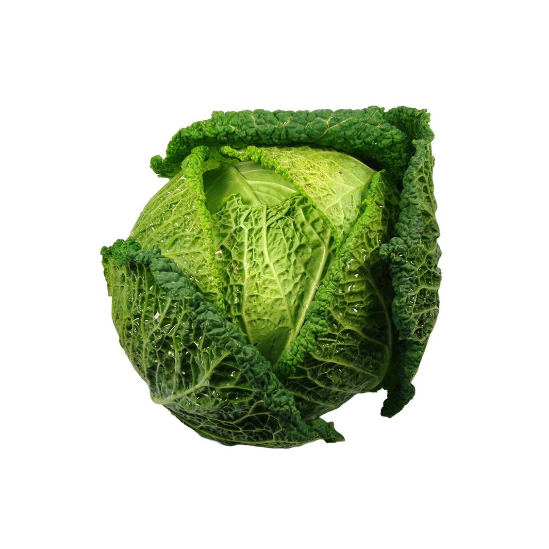 Chou vert - Un Gout d'ici