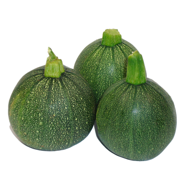 Courgettes rondes vertes | Légumes Frais local - Un goût d'ici