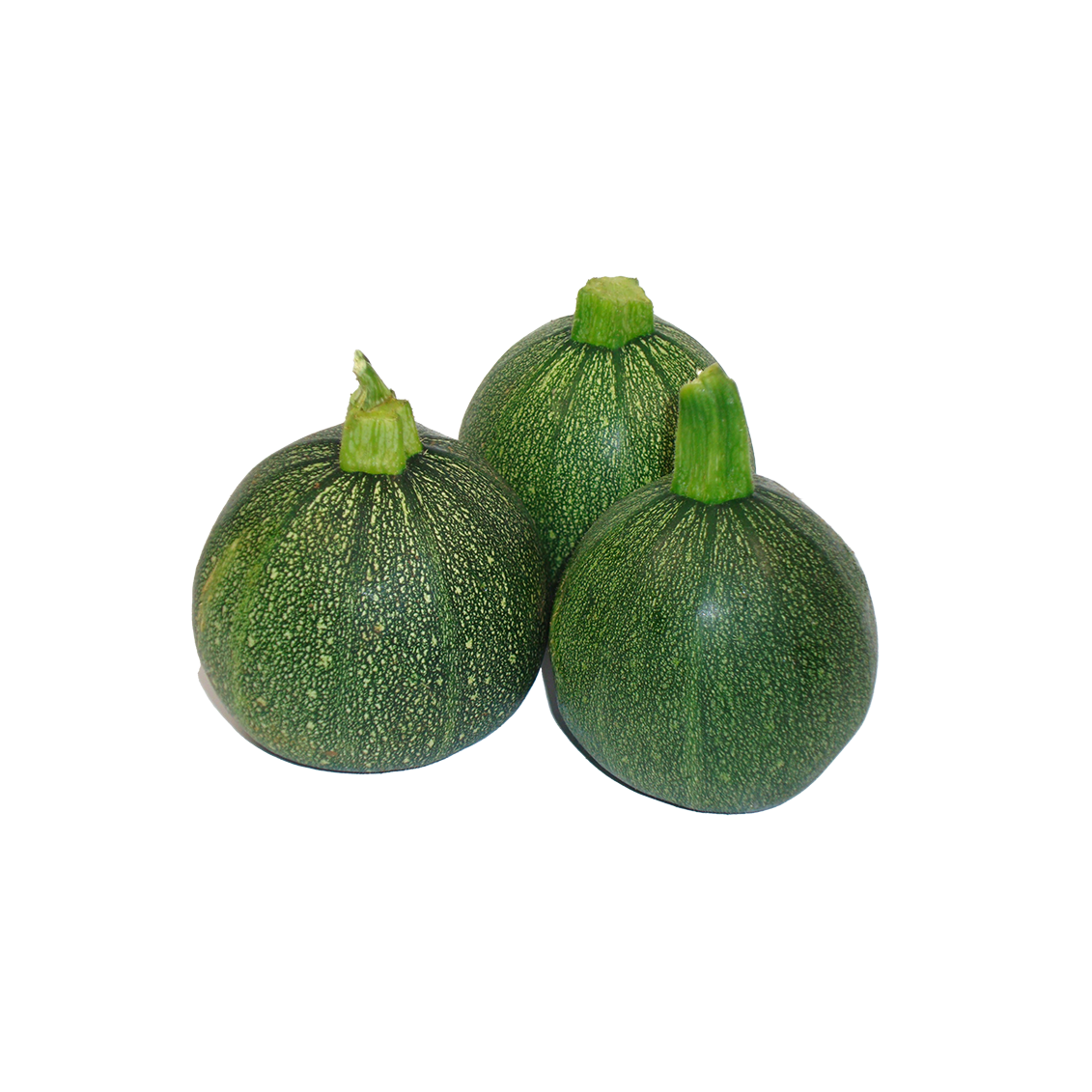Courgettes rondes vertes | Légumes Frais local - Un goût d'ici