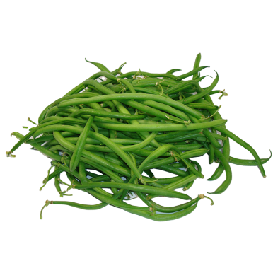 Haricots verts ramassés à  la main - Un Gout d'ici