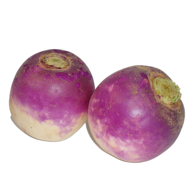 Navets violet - Un Gout d'ici