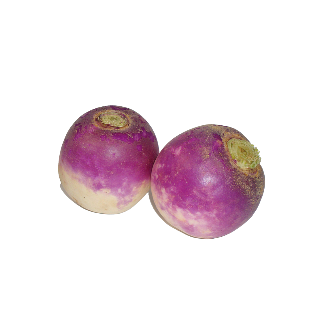Navets violet - Un Gout d'ici