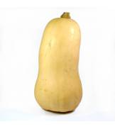 1 Butternut
