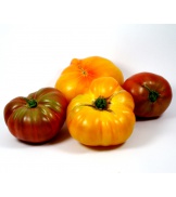 1Kg de Tomates anciennes variées