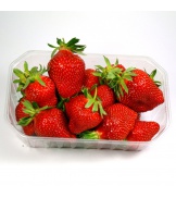 500g de Fraises Clery