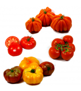 Panier de Tomates