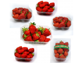 Un goût d'ici - Panier de fraises