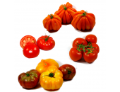 Un goût d'ici - Panier de Tomates