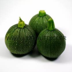 Un goût d'ici - 1Kg de Courgettes rondes mélange de couleur (certifié AB)