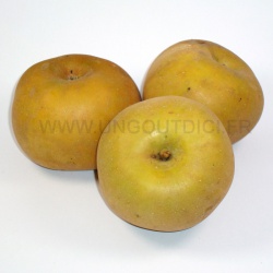 Un goût d'ici - 800g de Pomme Canada (certifié AB)