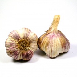 Un goût d'ici - 200g d'ail violet