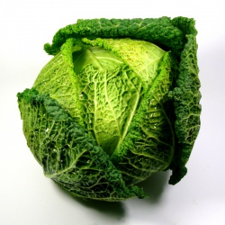 Un goût d'ici - 1 Chou Vert