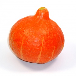 Un goût d'ici - 1 Potimarron