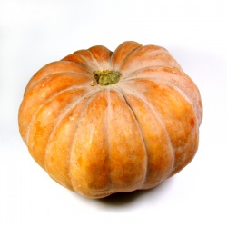 Un goût d'ici - 1 Citrouille petite