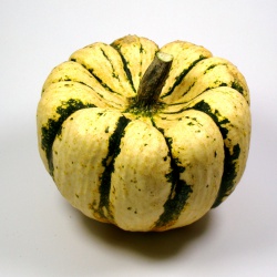 Un goût d'ici - 1 Patidoux