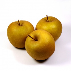 Un goût d'ici - 500g de Pommes Bertanne