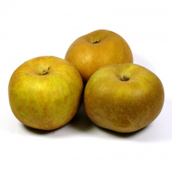 Un goût d'ici - 500g de Pommes Canada