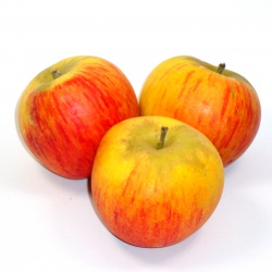 Un goût d'ici - 500g de Pommes Reine de Reinettes