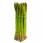 1 botte d'Asperges Vertes - 500g